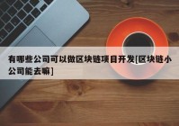 有哪些公司可以做区块链项目开发[区块链小公司能去嘛]